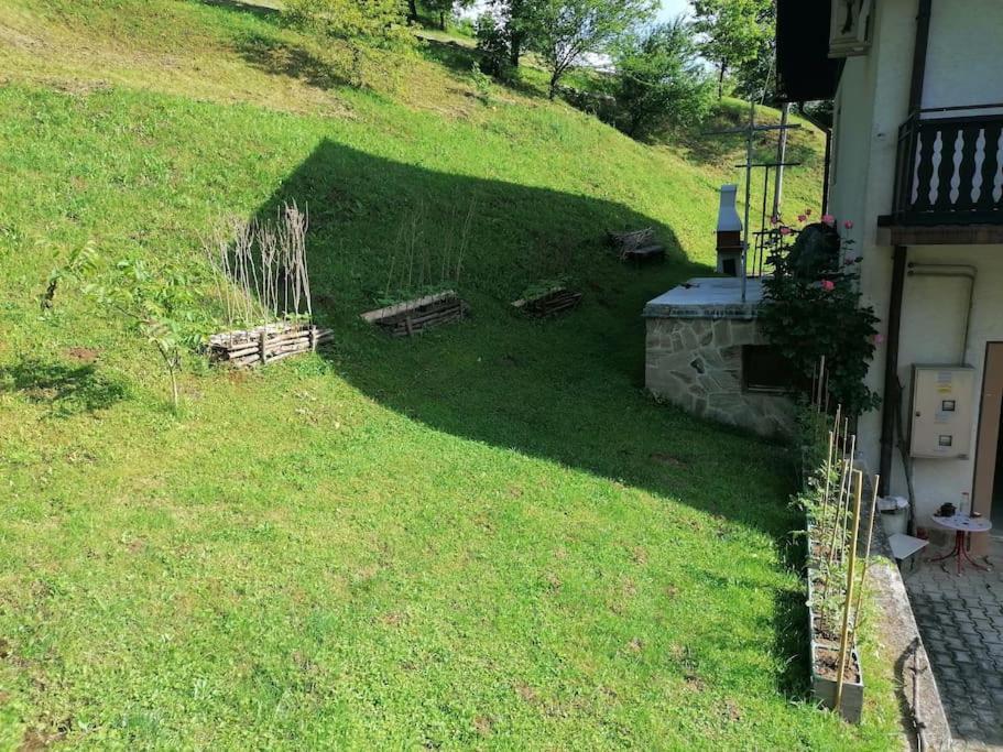 Apartment Beautiful House In Idyllic Location