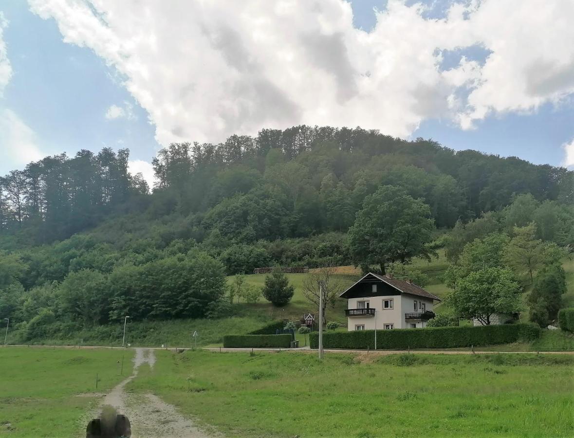 Beautiful House In Idyllic Location Apartment Rogatec