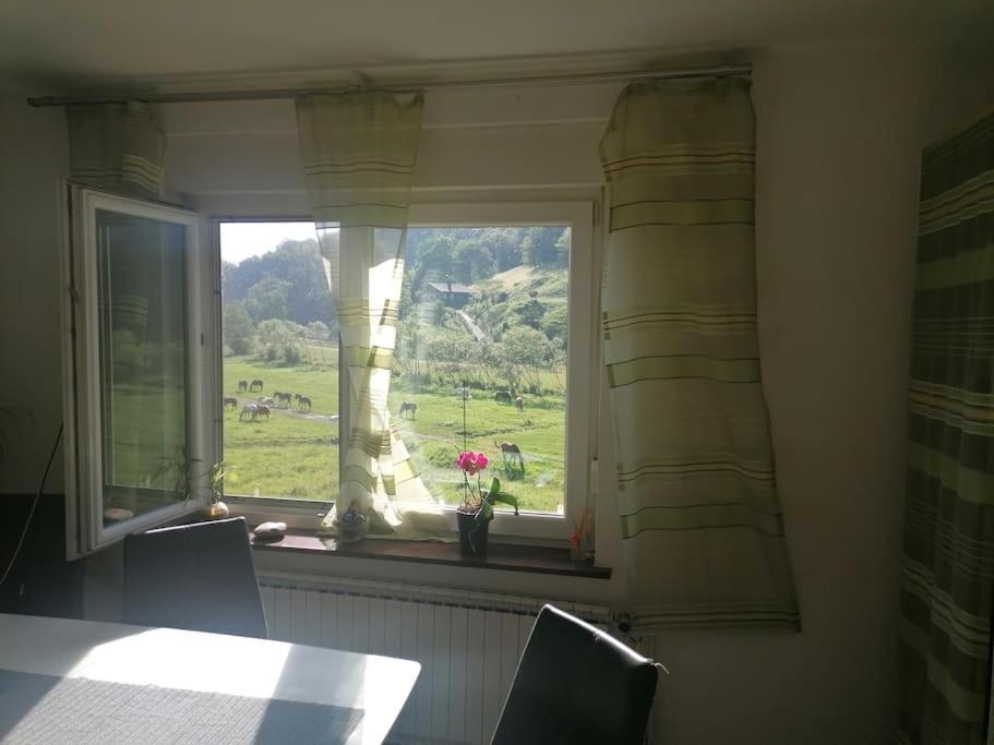 Apartment Beautiful House In Idyllic Location