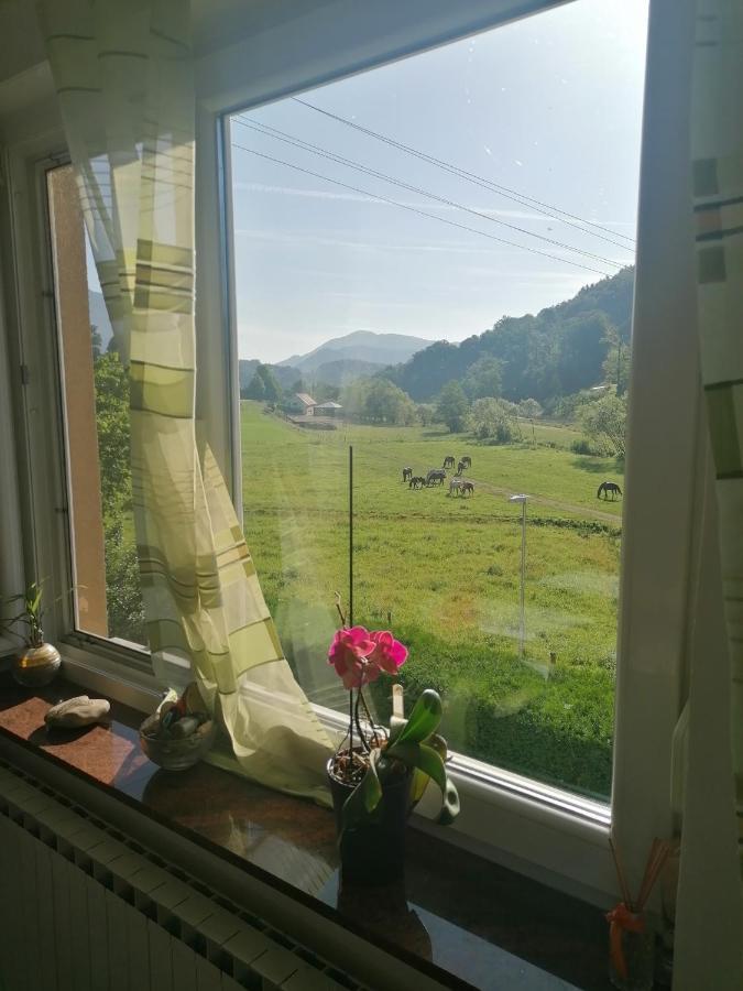 Beautiful House In Idyllic Location Rogatec